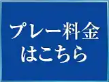 プレー料金